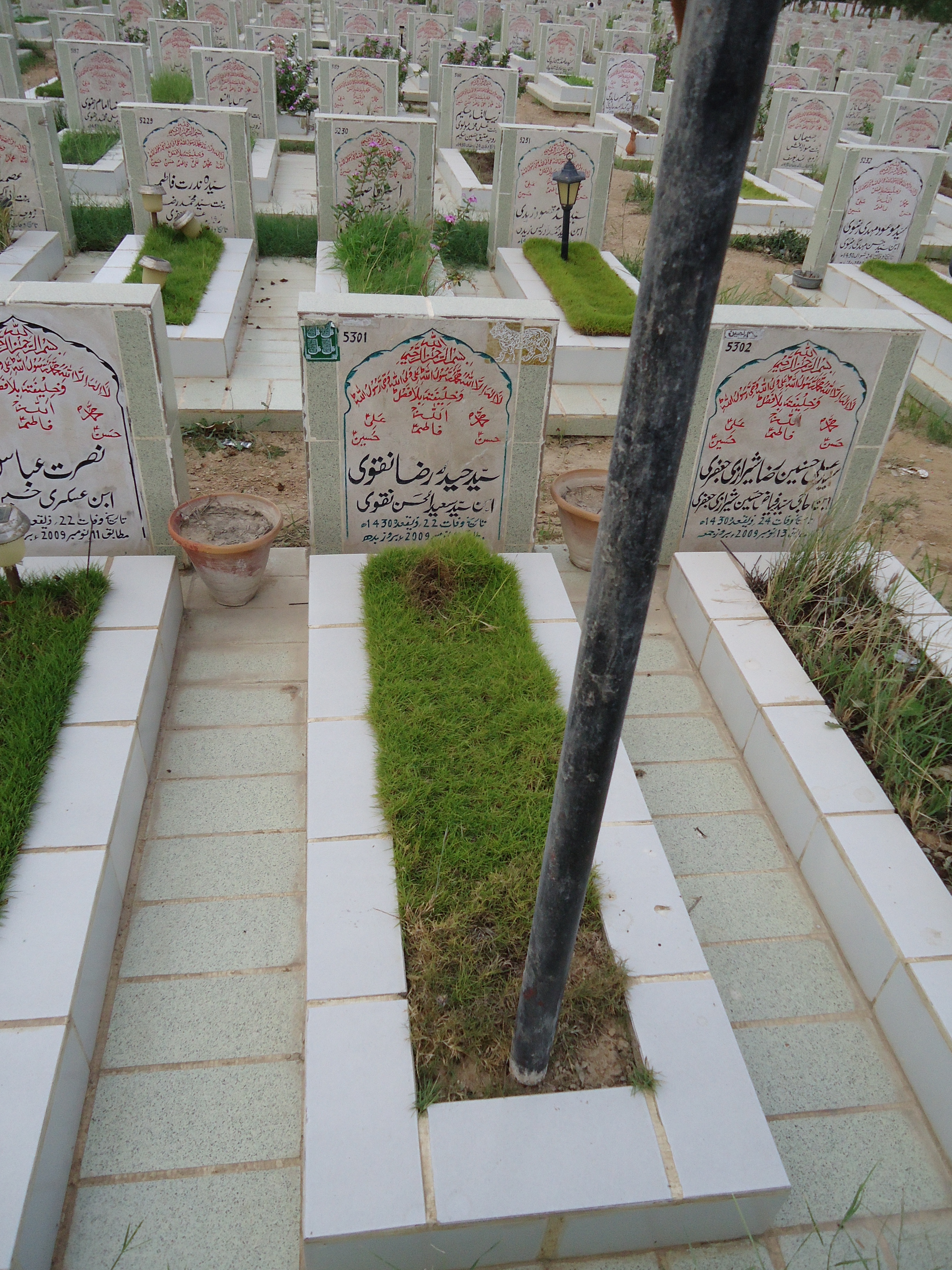 5301 – Syeda Raza Haider Naqvi